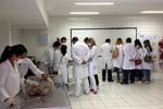 I Feira de Anatomia da AESPI/FAPI